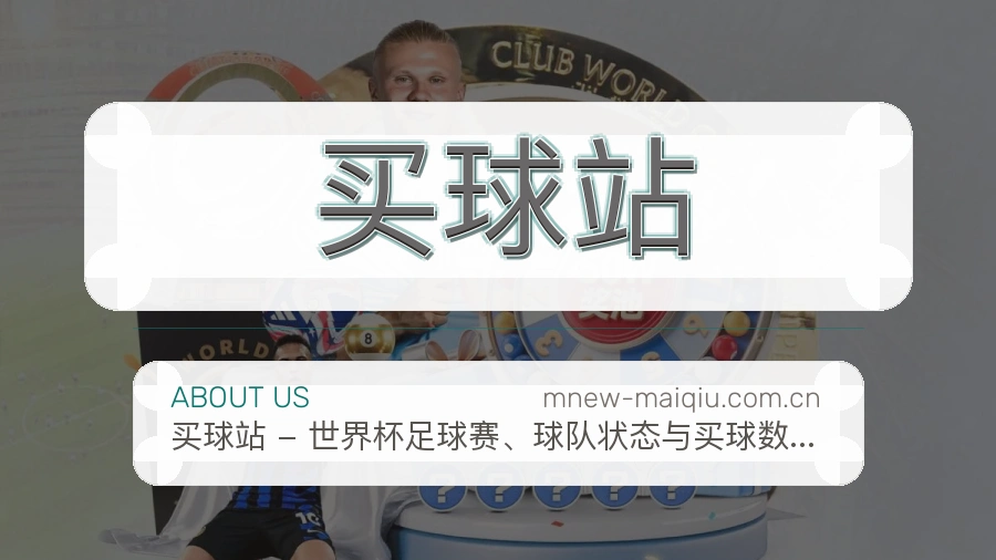 买球站品牌服务介绍